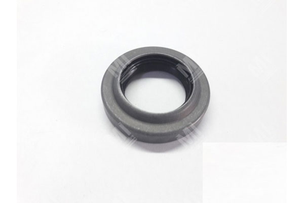 Oil Seal - 12019323 - Mi Nr: 347.017894