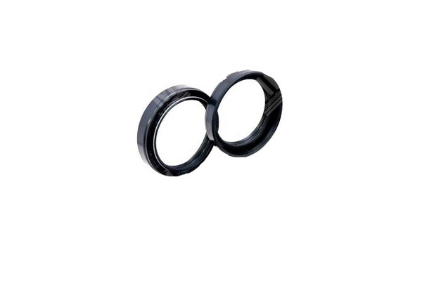 Oil Seal -   - 12032094