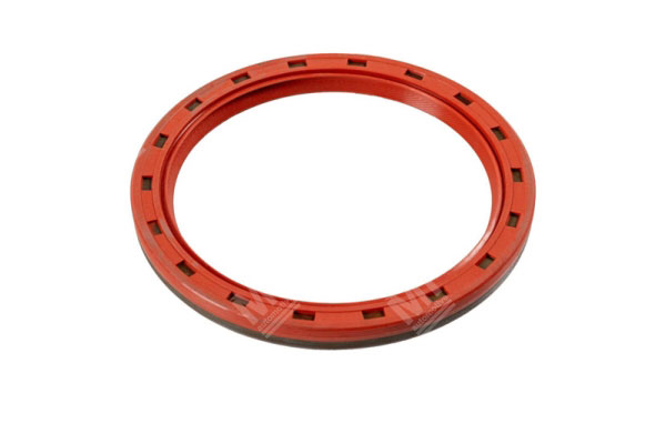 Oil Seal -   - 19016570