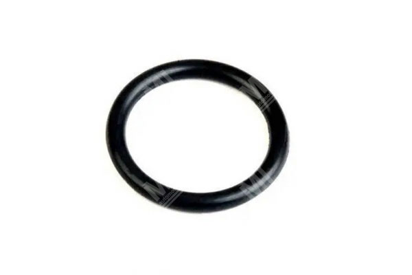 Oil Seal -   - 19019536