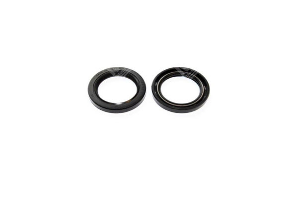 Oil Seal -   - 19025980