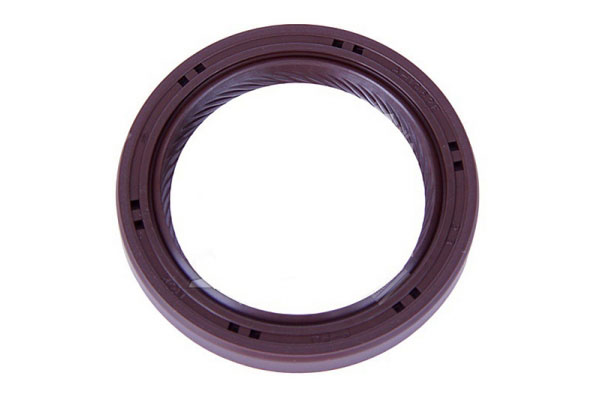 Oil Seal -   - 19034978