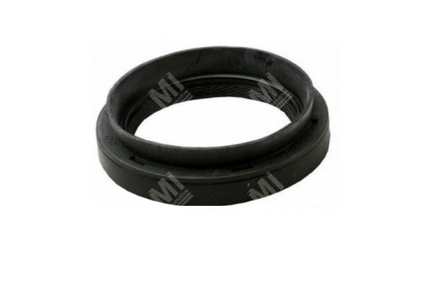 Oil Seal -   - 19035200