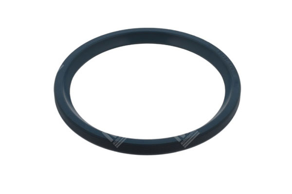 Oil Seal -   - 20016779