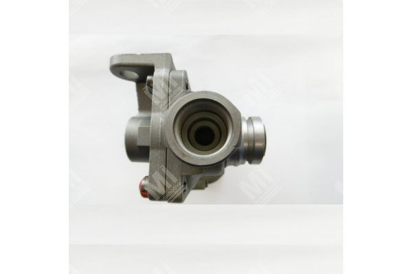 Quick Release Valves - Daf,,Mercedes  - 9735000310