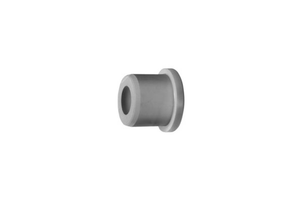 Spring Bushing - Daf  - 0299106