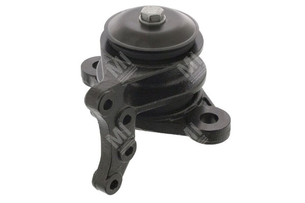 Spring Mounting - Renault  - 5010316521