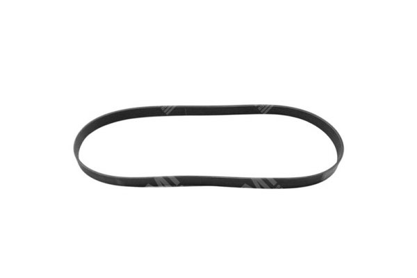 V Ribbed Belt - Man  - 51968200243