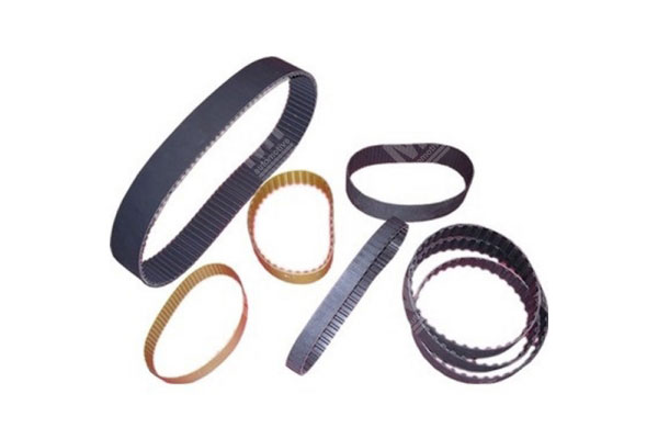 V Ribbed Belt - Man  - 51968200273