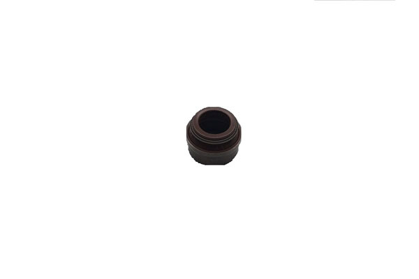 Valve Seal -   - 12012092