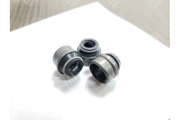 Valve Seal -   - 12016756