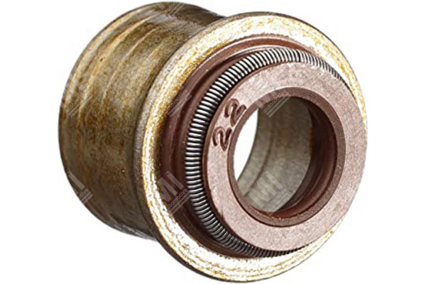 Valve Seal -   - 19019999